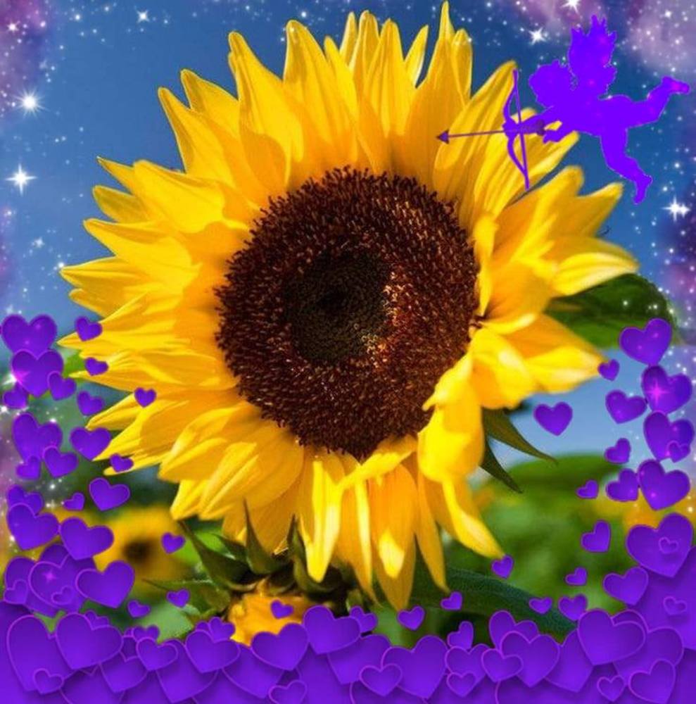 Meet your Posher, Tonya